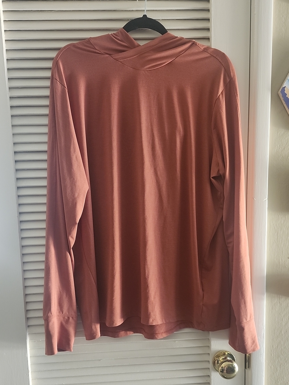REI Men's Long-Sleeve Hooded Activewear Shirt
